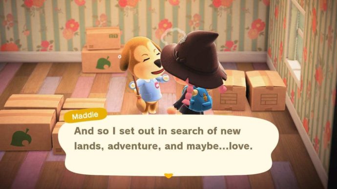 The 5 Stages of Grief After Saying Goodbye to an Animal Crossing Villager